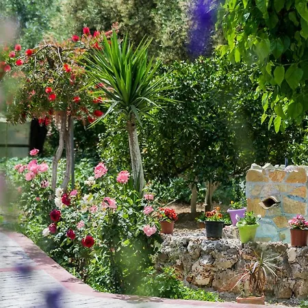 Bell Marin Villa Kalpaki (Zakynthos)